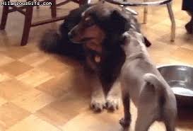 Cloudy with a chance of tornadoes. Bark Tornado Album On Imgur