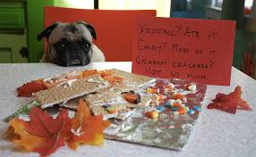 Aging dogs and cats may need more frequent grooming sessions the if you're a pet parent wondering how to make your dog live longer or how to help your cat maintain optimum health, know that while aging is inevitable. 17 Halloween Dog Shaming Pictures To Make You Feel Better About Your Ruined Holiday Barkpost