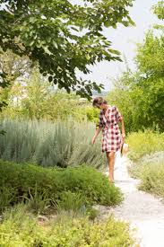 Heaven On Earth Herb Garden In 2020 Heaven On Earth Herb Garden Heaven