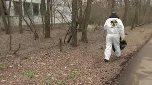 Productia relateaza pe parcursul a cinci episoade faptele reale ale dezastrului de la centrala nucleara cernobil. Cernobil A Devenit Serialul Cel Mai Popular Din Lume Pe Imdb Devansand Breaking Bad Èi Game Of Thrones Hotnews Mobile