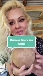 shared a mammee apple with one of my really good friends today that i ...