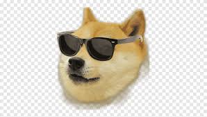 I got a dog but lost my glasses. Brown Dog Wearing Sunglasses Illustration Agar Io Shiba Inu Doge Weather Doge Carnivoran Dog Like Mammal Png Pngegg