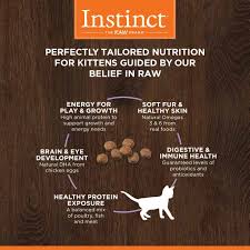 Instinct Original Kitten Grain Free Recipe With Real Chicken Natural Dry Cat Food By Natures Variety 4 5 Lb Bag Click On The Image For Dry Cat Food Cat Food Free Food