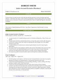 This position may also be known as an account executive or brand manager in other agencies. Junior Account Executive Resume Samples Qwikresume