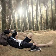 Seperti yang sudah di ketahui bambu adalah pohon yang sangat kuat tetapi dapat berfungsi untuk meneduhkan suasana sekitar baik dari polusi suara maupun polusi udara. Di Bawah Pohon Rindang Pohon