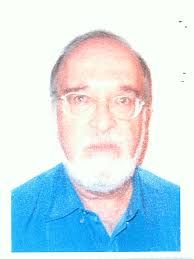 File:Isaac Ben-Israel (00390058).jpg