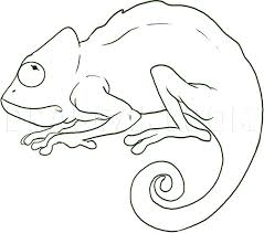 Now, draw the arms and hands starting next to the mouth and finishing just below the head. How To Draw A Chameleon Step By Step Drawing Guide By Dawn Dragoart Com