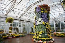 Maybe you would like to learn more about one of these? Frederik Meijer Gardens Fall Chrysanthemums Exhibition Set To Return Grand Rapids Magazine