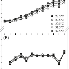 A Growth Of Juvenile African Spurred Tortoise Geochelone