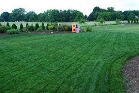While we have ben using the iron. Fertilizing With Iron