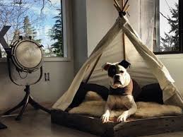 Optisch wunderbar in den garten integrieren lassen sich modelle aus holz, denn das selber bauen können sie natürlich auch den rest. Hundebett Selber Bauen 13 Gemutliche Ideen Fur Ihren Vierbeiner Heimwerkertricks Net