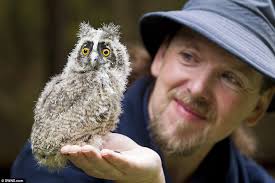 White Wolf : Internet Falls in Love With Four Cuddly Baby Long-Eared Owls  at the Scottish Owl Centre