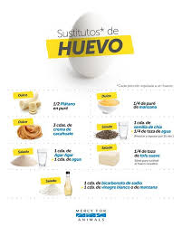 Importante Info Sobre Como Y Con Que Alimentos Podemos Sustituir El Huevo Alimentos Veganos Sustituto De Huevo Comida Vegana