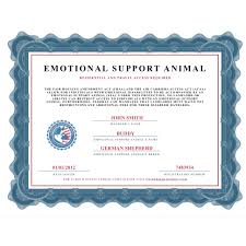 The working animal division offers thoughtful solutions and strategies for those working with therapy and service animals. Emotional Support Animal Certificate United Service Dog