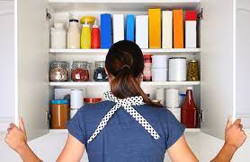 That brexit , its such a mess it's like shitting in the queen's pantry. Larder Definition And Meaning Collins English Dictionary