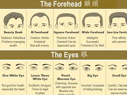 Facereadingchinese Rtk1 Png 800 600 Chinese Face Reading Reading Body Language Face Reading