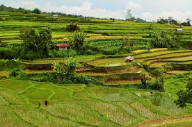 Sekolah darurat desa terpencil di sumatera barat. Desa Wisata Pariangan Tanah Datar Sumatera Barat Pedesaan Tanah