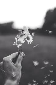 Simply Bekah Feelinhipsterxo Black And White Pictures Black And White Aesthetic White Photography