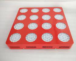 There are 184 suppliers who sells high lumen 1000w led grow lights on alibaba.com, mainly located in asia. High Lumen 800w 1000w Led Grow Lights Full Spectrum Made In China Buy 800w Led Grow Light Full Spectrum 800w Led Grow Light Led Grow Light Full Spectrum Product On Alibaba Com