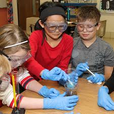 We did not find results for: Smithsonian Science For The Classroom Carolina Com