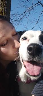 Buongiorno, cerco qualcuno in grado di dare una mano a mio figlio nella  materia informatica (programma in kotlin) che frequenta il secondo anno di  istituto tecnico, grazie a chi ci potrà aiutare |