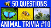 Turn your stomach, consider the fact that there are more than 1400 edible insect species. Bugs Quiz Youtube