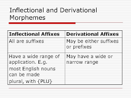 What is lexical morphemes with examples? English Morphology And Lexicology Shao Guangqing Shaoguangqing Gmail Com