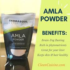 If You Missed The Hormone Smoothie Segment I Did Yesterday On Wptv This Amla Powder In Hormone Balancing Smoothie Antioxidants Benefits Skin Healthy Hormones