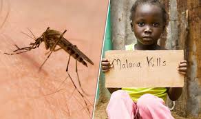Hasil gambar untuk malaria