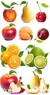 Apple Pear Peach Orange Fruit Vector Fruit Vector Fruit And Veg Fruits Drawing