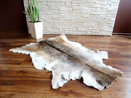 100 Natural Fallow Deer Rug Xxl Fallow Deer Hide Fallow Deer Skin Floor Decoration Wall Decoration Easter Present Gift Rugs Deer Skin Deer Hide