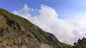 遊記 花蓮縣 玉里鎮赤科山 千噸神龜 三巨石 汪家古厝 萱園居 小台灣 金針大道 富里鄉六十石山 小瑞士觀景台 忘憂亭一覽金針花海 銀河 雲海 琉璃光 雨曝 夕陽斜射光 日出火燒雲美景 交通 租機車 住宿 火車 拍攝地圖 拍攝點 即時花況 即時影像