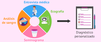 Que Es La Fecundacion In Vitro Fiv Proceso Y Precio