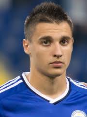 Elvir Baljić Biography