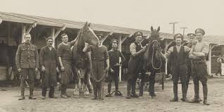 Why was it that she was even more shameless than he, a heretic sect elder, when it came to. Army Horse Care In The First World War National Army Museum