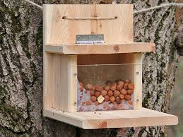 Bastelanleitung Eichhornchen Futterhaus Squirrel Feeder Diy Squirrel Feeders Diy Crafts Slime