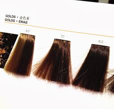 Inoa Hair Color Shade 7n Beauty Within Clinic