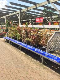 Garden Leisure Company Huntingdon Garden Centre Lifestyle Home Garden Farm Shop Whsmith Layout Lands Farm Gardens Garden Center Garden Shop