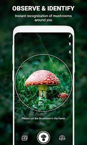 Its resources are divided into several tools: Mushroom Identifier App By Photo Camera 2020 For Android Apk Download