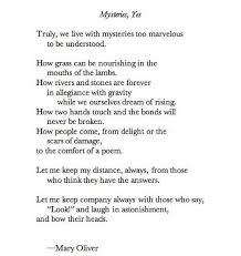  Artpropelled Poetry Words Mary Oliver Poems Poetic Words