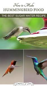 Once you've assembled your kitchen items, it's just a few more steps! How To Make Hummingbird Food Sugar Water Recipe Hummingbird Food Sugar Water For Hummingbirds Feed Hummingbirds