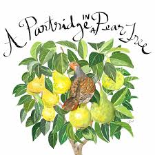 The pdf is also structured so that the succinct version, with an area for your own notes, is on a single page, making it easy to just take one sheet of paper with you if you have printed it out for. A Partridge In A Pear Tree Illustration Thefrancofly