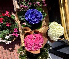 Flower buying is typically tied to the event for which it is being purchased. A Flower Shop Near Me