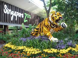 Singapore Zoo Singapore