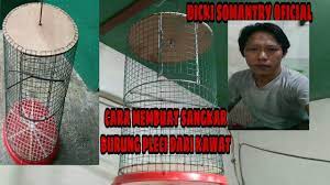 Pasang menggunakan kawat seperti cara. Tutorial Cara Membuat Sangkar Burung Pleci Dari Kawat Ram Youtube
