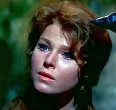 "Daniel Boone" Valley of the Sun (TV Episode 1968)