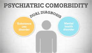 Programme For Those With Dual Diagnosis Hse Ie