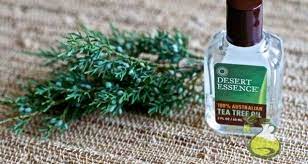 Chemical Free Tea Tree Oil Mouthwash Recipe Go Natural Tea Tree Oil Shampoo Tea Tree Oil Benefits Tea Tree Oil For Acne