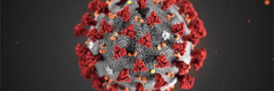 The world health organization issued a global alert soon after. U S Preparing For More 2019 Novel Coronavirus Cases Lab Tests Online