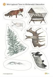 Mini Lapbook Tiere Imwinterwald 10 2 Tiere Basteln Winter Tierspuren